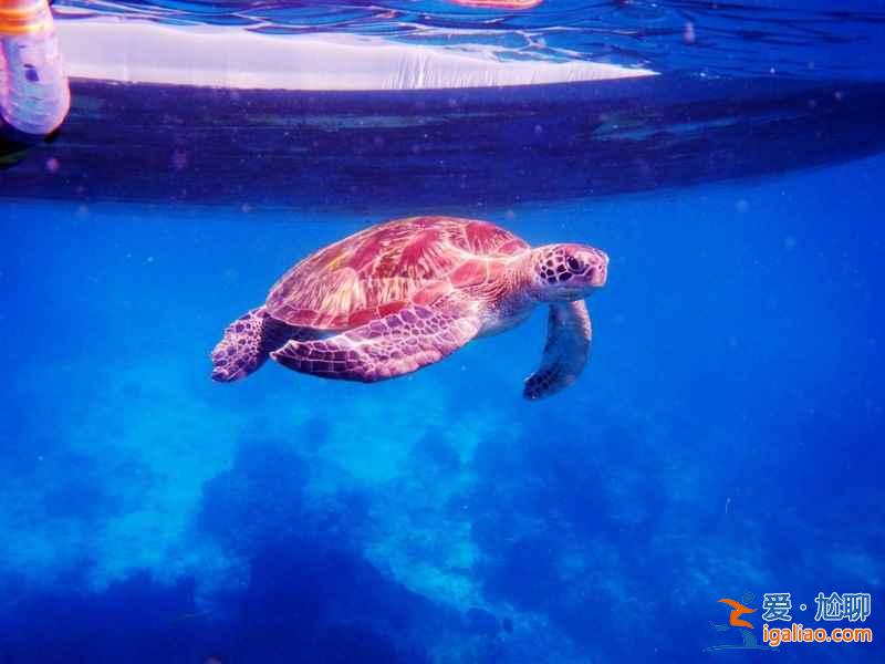 東南亞旅游比國內便宜！選個人少景美的海島出發吧？