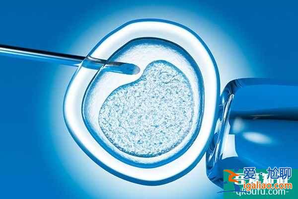 試管嬰兒：用一個試管周期成就一生求子心愿？