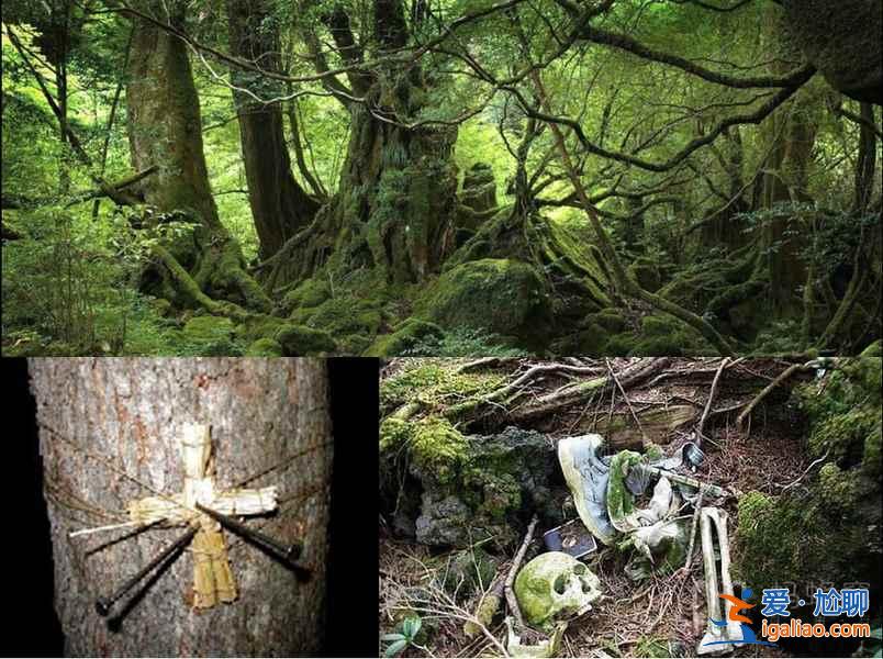 這些亞洲各國(guó)恐怖目的地，旅行一定避開(kāi)！？