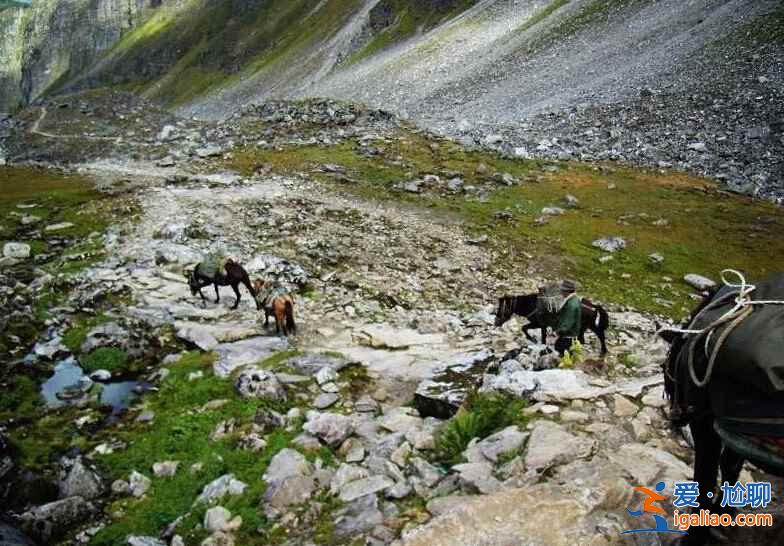 中國最后一個通公路的縣城? 中國最后一個通公路的縣城?