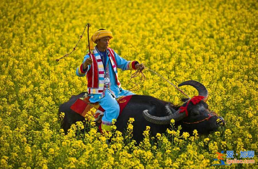 中國56個民族中,這一省就有52個!? 中國56個民族中,這一省就有52個!?