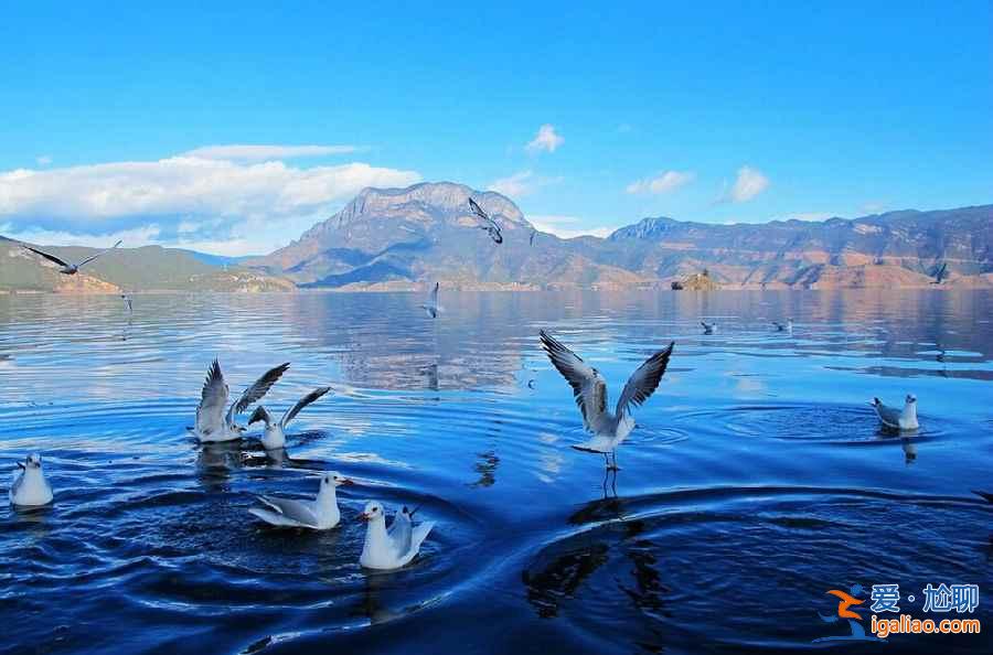 中國56個民族中,這一省就有52個!? 中國56個民族中,這一省就有52個!?