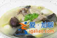 燉鴿子湯的做法？