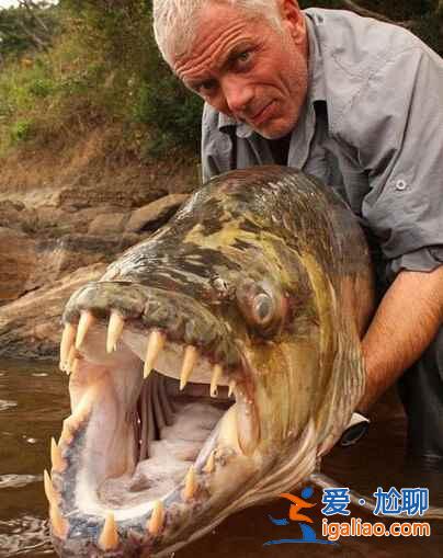 傳說中的世界七大水怪出沒地？