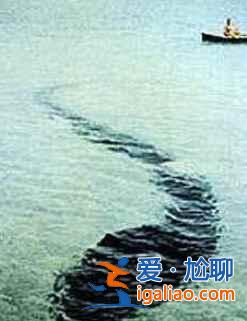 傳說中的世界七大水怪出沒地？