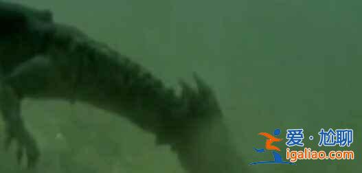 傳說中的世界七大水怪出沒地？