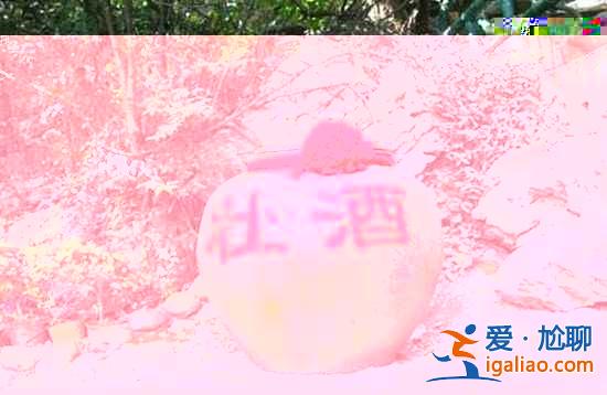 少數民族奇異食物，你敢吃嗎？？