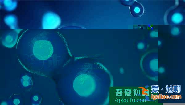 45歲李玟做IVF失敗，試管嬰兒專(zhuān)家教您提高成功率？