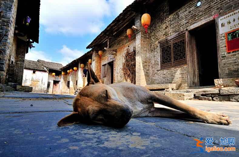 國內(nèi)哪些古鎮(zhèn)比較安靜，商業(yè)化程度比較低？？