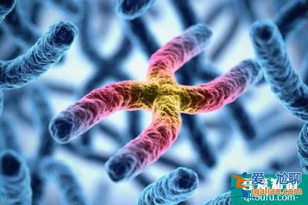 反復流產多與染色體異常有關?試管能解決嗎?? 反復流產多與染色體異常有關?試管能解決嗎??