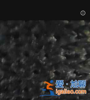 oppofindx3pro顯微鏡如何使用？
