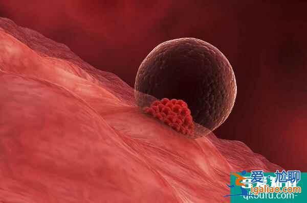 去做試管嬰兒，如何才能真正提高成功率？？