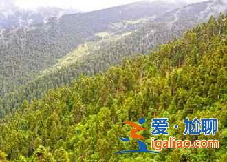 2017林芝桃花節(jié),林芝桃花節(jié)開幕時間、地點? 2017林芝桃花節(jié),林芝桃花節(jié)開幕時間、地點?