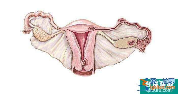 為何進行試管嬰兒的女性們容易黃體功能不全？