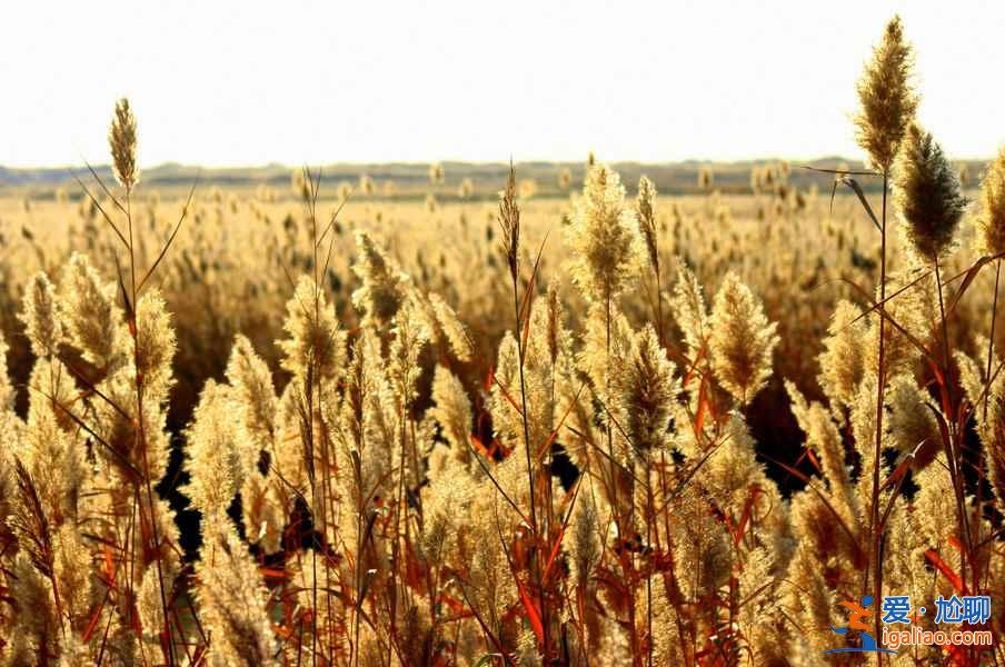 【5A景區】最新最全186處國家5A級旅游景區清單? 【5A景區】最新最全186處國家5A級旅游景區清單?