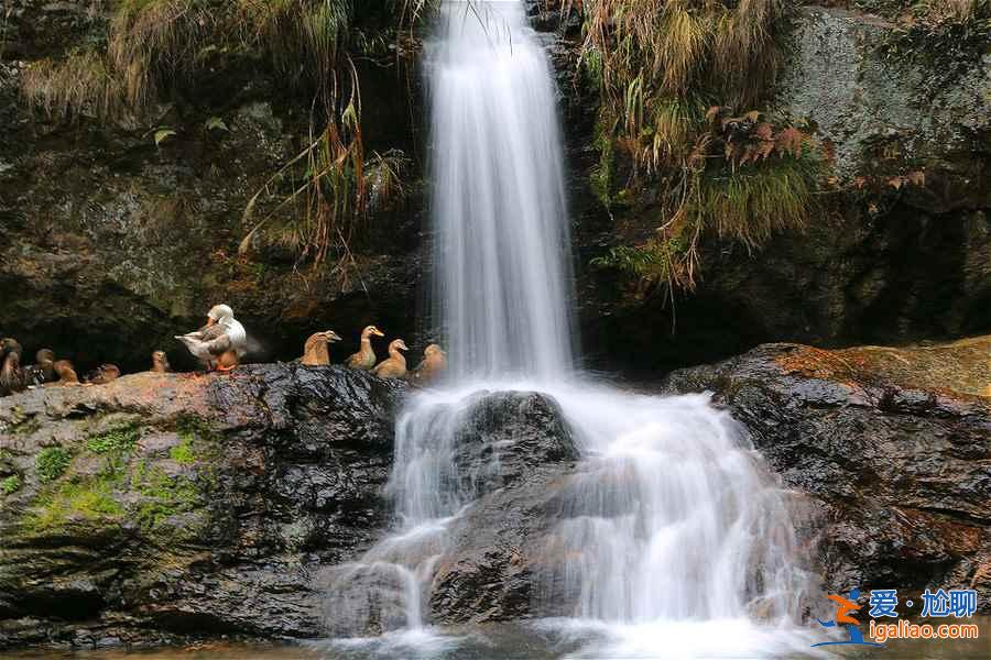 【5A景區】最新最全186處國家5A級旅游景區清單? 【5A景區】最新最全186處國家5A級旅游景區清單?