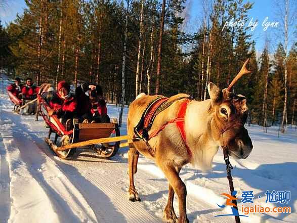 冬季旅游，國內十大冰雪地推薦！？