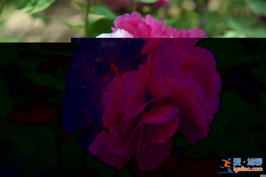 【5A景區】最新最全186處國家5A級旅游景區清單? 【5A景區】最新最全186處國家5A級旅游景區清單?