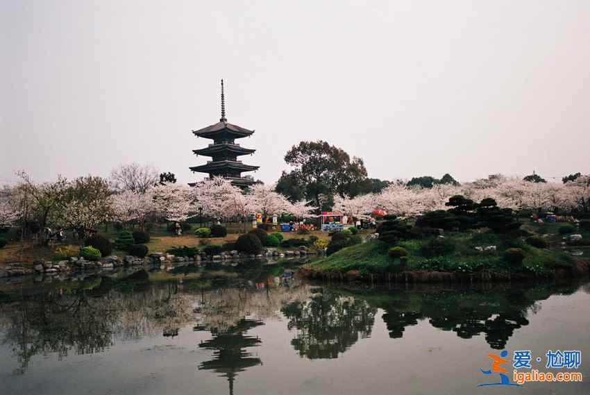 又是一年開學季，中國最美校園top10？