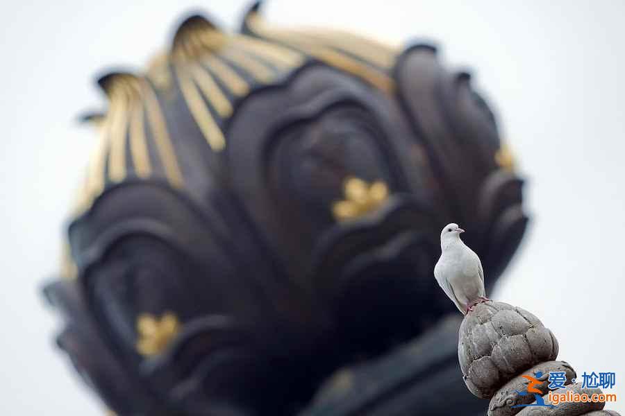 【5A景區】最新最全186處國家5A級旅游景區清單? 【5A景區】最新最全186處國家5A級旅游景區清單?