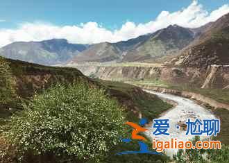2017林芝桃花節(jié),林芝桃花節(jié)開幕時間、地點? 2017林芝桃花節(jié),林芝桃花節(jié)開幕時間、地點?