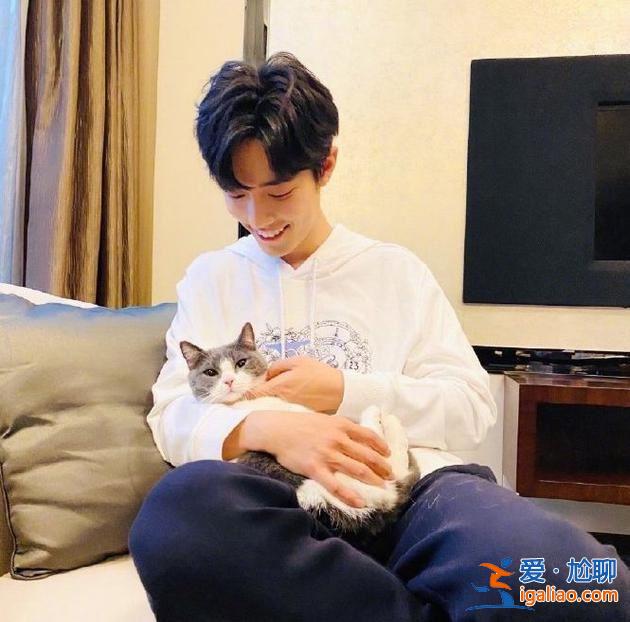 星探丨肖戰更新動態分享手繪梅花圖 此前被傳患上抑郁癥 星探丨肖戰更新動態分享手繪梅花圖 此前被傳患上抑郁癥