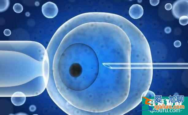 囊胚培養成功率大嗎？怎么提升成功率？