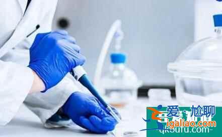 囊胚培養成功率大嗎？怎么提升成功率？