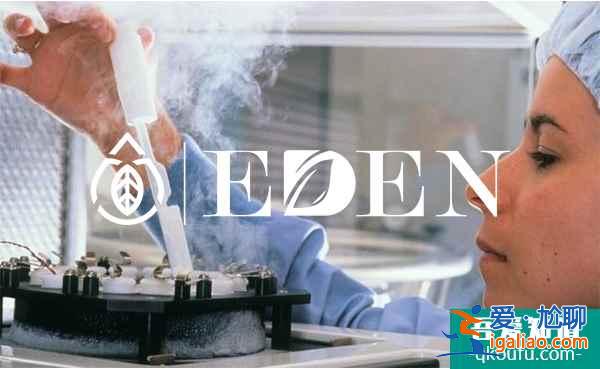 從技術和服務兩方面保障您的試管嬰兒周期順利進行？