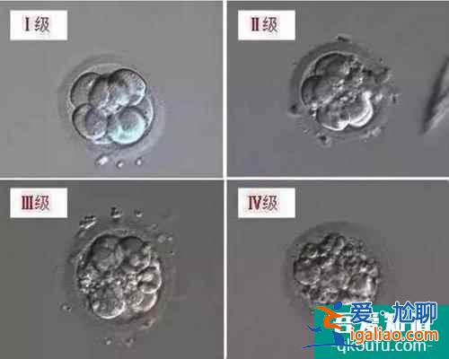 試管嬰兒胚胎評(píng)級(jí)與成功率之間有什么關(guān)系？？