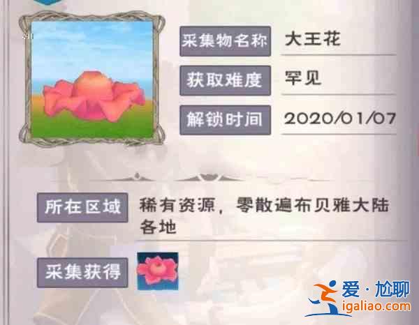 創造與魔法大王花位置在哪？全地圖大王花刷新位置一覽？