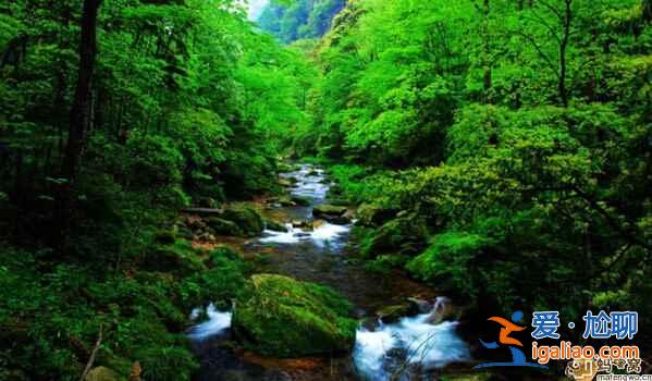 每個月適合旅游的地方（國內(nèi)篇）？