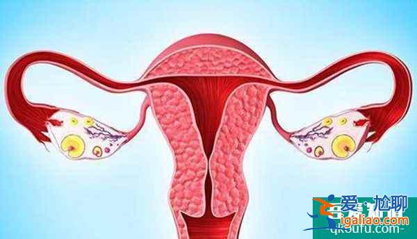 做試管嬰兒，為什么推薦吃避孕藥？？