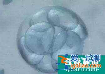 宮腔環境不好會影響胎兒正常發育嗎？？