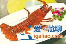 大龍蝦的做法大全? 大龍蝦的做法大全?