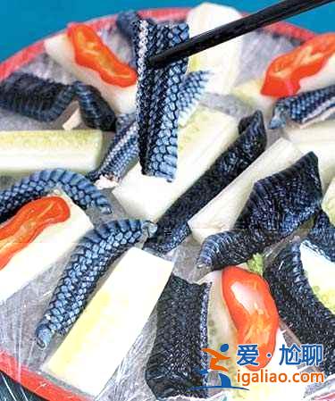 日本的這些奇葩習俗，你怎么看？？