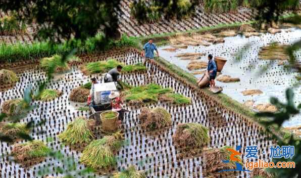 中國四大古城,雋永的美麗!? 中國四大古城,雋永的美麗!?