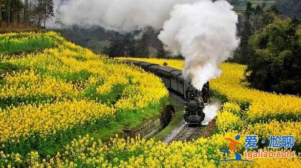 中國最美春天在哪里?? 中國最美春天在哪里??