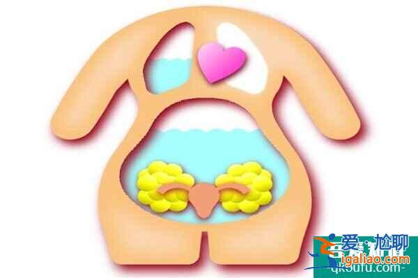 解惑:多囊卵巢和卵巢過度刺激是一回事嗎?? 解惑:多囊卵巢和卵巢過度刺激是一回事嗎??