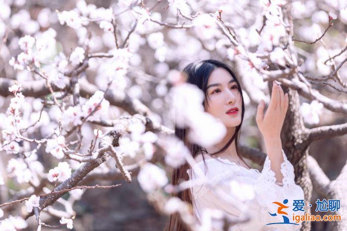 娛樂第一手丨龍怡利受邀拍攝杏花林公益助農(nóng)大片，一襲白色仙女穿搭盡顯明艷氣質(zhì)