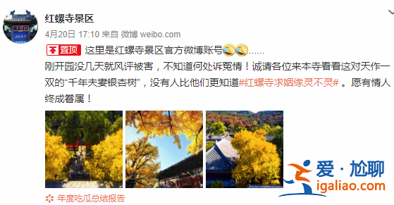 走進(jìn)明星丨屈楚蕭戀情帶動(dòng)紅螺寺上熱搜 官博調(diào)侃：風(fēng)評(píng)被害