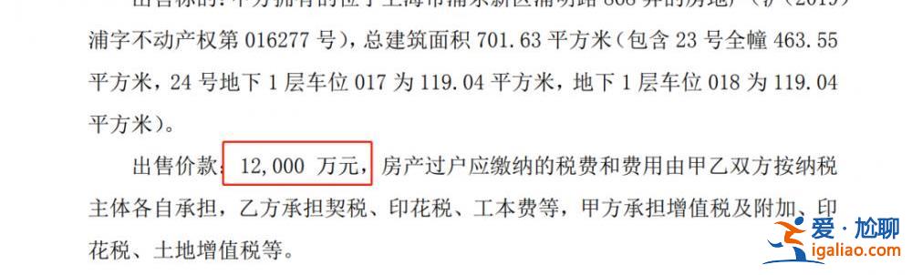 山東神秘富豪1.2億買下上海700平江景豪宅！這位大佬是何來(lái)頭？？