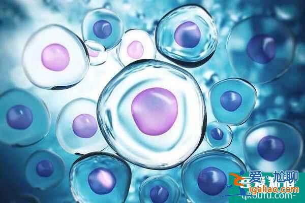 去做試管,取卵數(shù)量越多成功率就越高嗎?? 去做試管,取卵數(shù)量越多成功率就越高嗎??