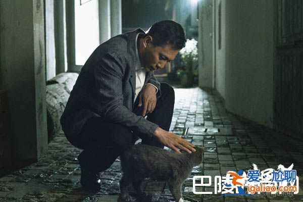 電視劇老男孩什么時(shí)候播？林依晨撩糙漢大叔劉燁！？
