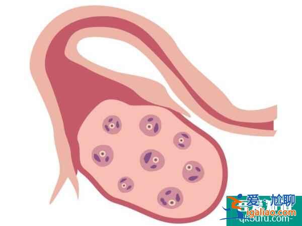 去做試管,取卵數(shù)量越多成功率就越高嗎?? 去做試管,取卵數(shù)量越多成功率就越高嗎??