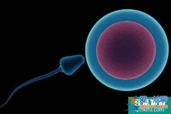 去做試管,取卵數(shù)量越多成功率就越高嗎?? 去做試管,取卵數(shù)量越多成功率就越高嗎??