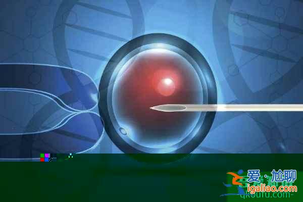 赴美做試管嬰兒有年齡要求嗎?高齡如何順利入周?? 赴美做試管嬰兒有年齡要求嗎?高齡如何順利入周??