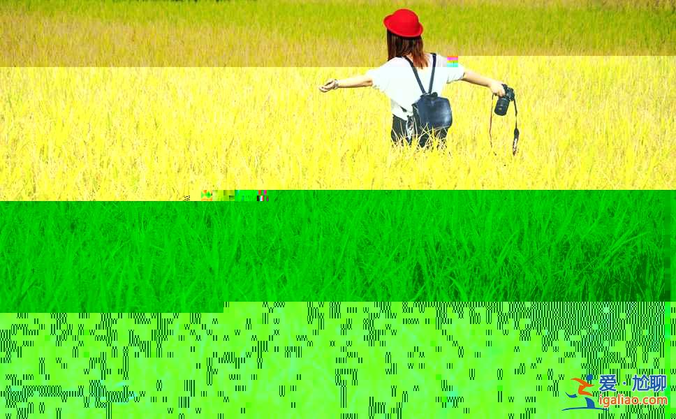 祖國11月靚麗風光【美圖欣賞】？