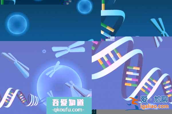 去做試管嬰兒生雙胞胎，費(fèi)用是多少？？