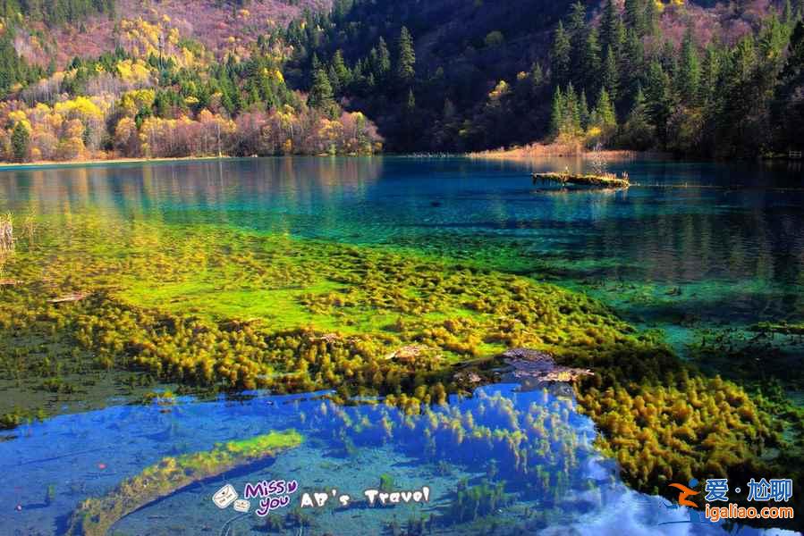 【淡季門票價格】秋冬季節(jié)熱門景區(qū)淡季門票價格及時間？